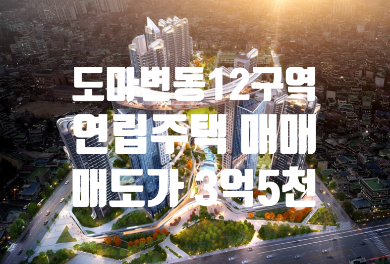 연립 주택이란 [매매] 대전 재개발, 7