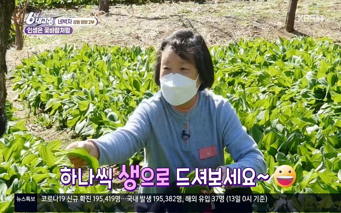 6시 내고향.E7510.220414p.H264-F1RST.mp4_20220419_184324.172.jpg