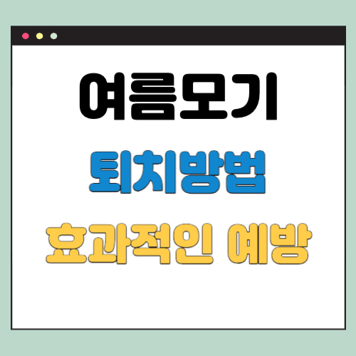  여름모기 퇴치 예방법과 효과적인 치료 방법