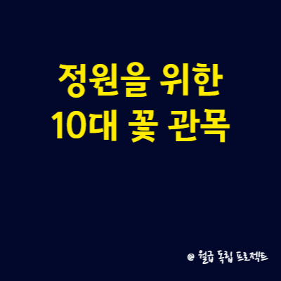 정원을 위한 10대 꽃