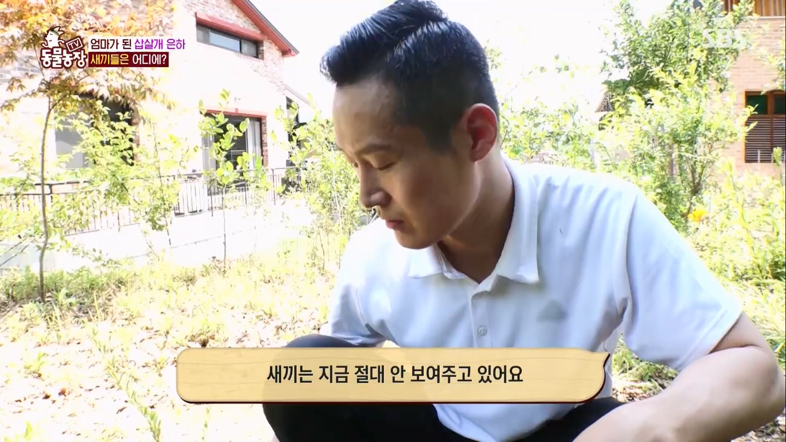 TV 동물농장.E1127.230702p.H264-F1RST.mp4_20230704_212709.591.jpg