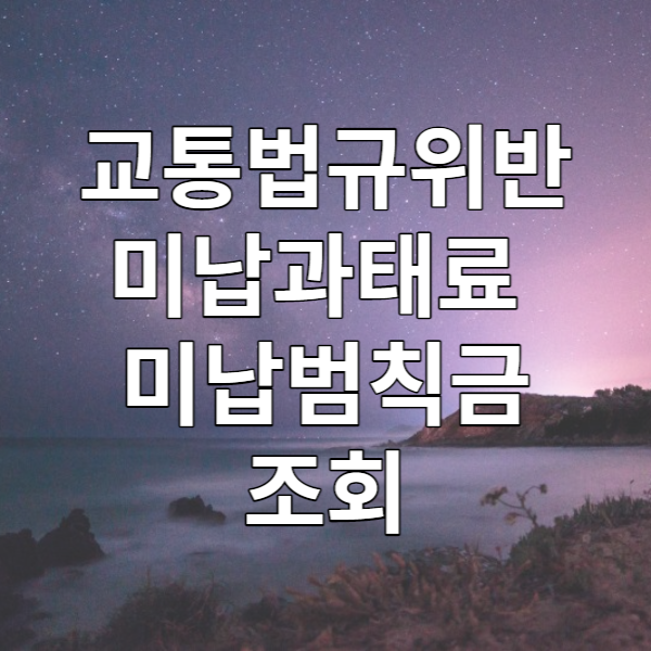  범칙금 조회 - 주정차 위반, 신호 위반, 과속 단속 조회, 미납 과태료