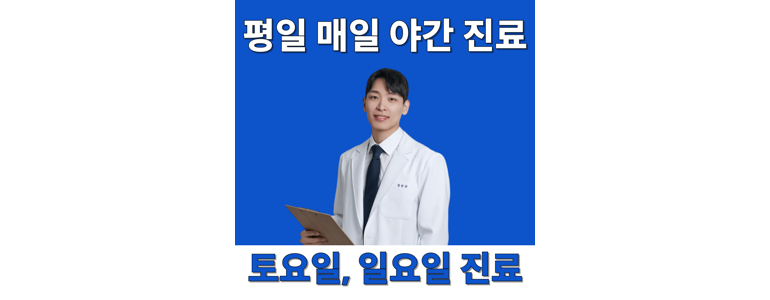 성남 분당구 추나