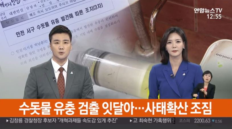  부산 수돗물 유충