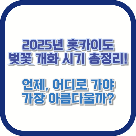 2025년 홋카이도 벚꽃 개화 시기 총정리! 언제, 어디로 가야 가장 아름다울까?