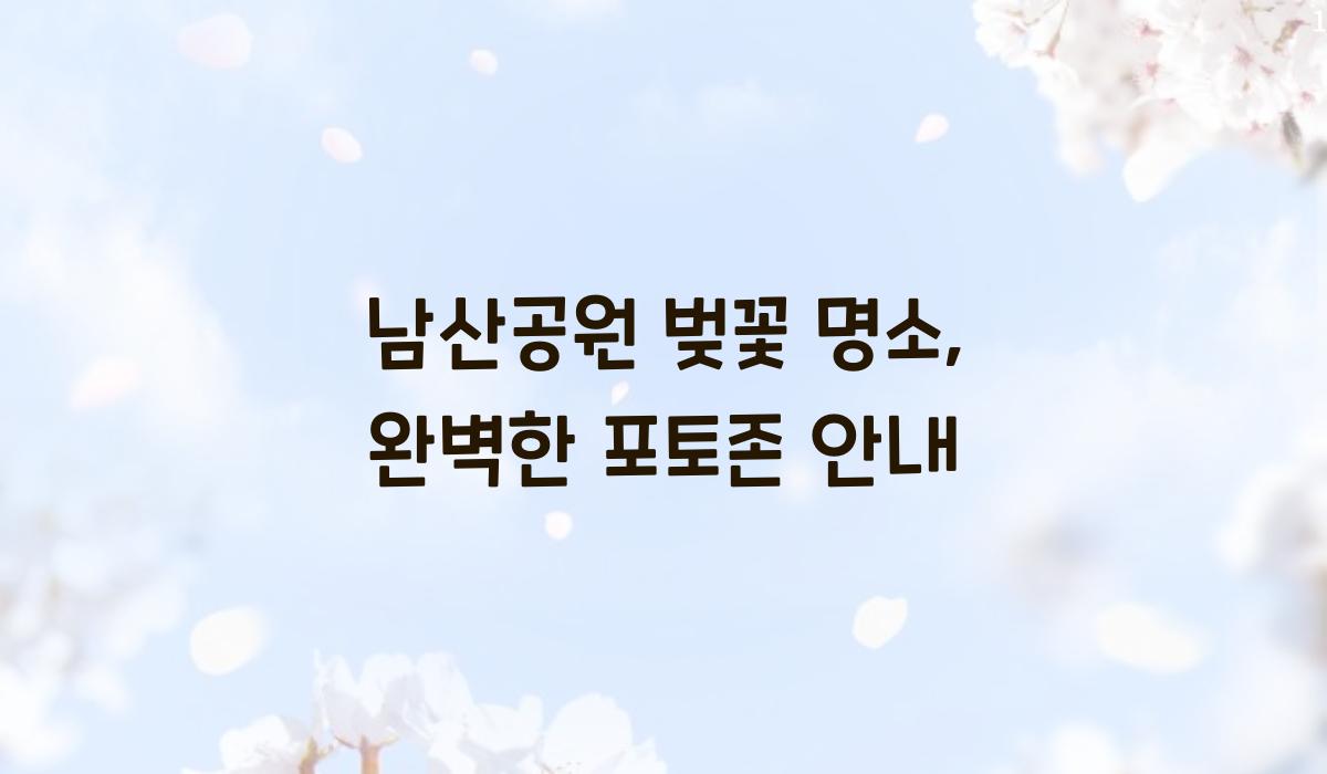 남산공원 벚꽃 명소  