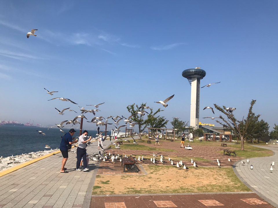  시화방조제 나들이->시화나래휴게소