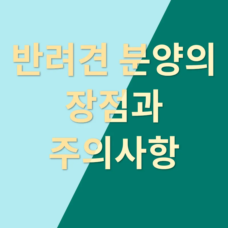 애견장례지도사_4