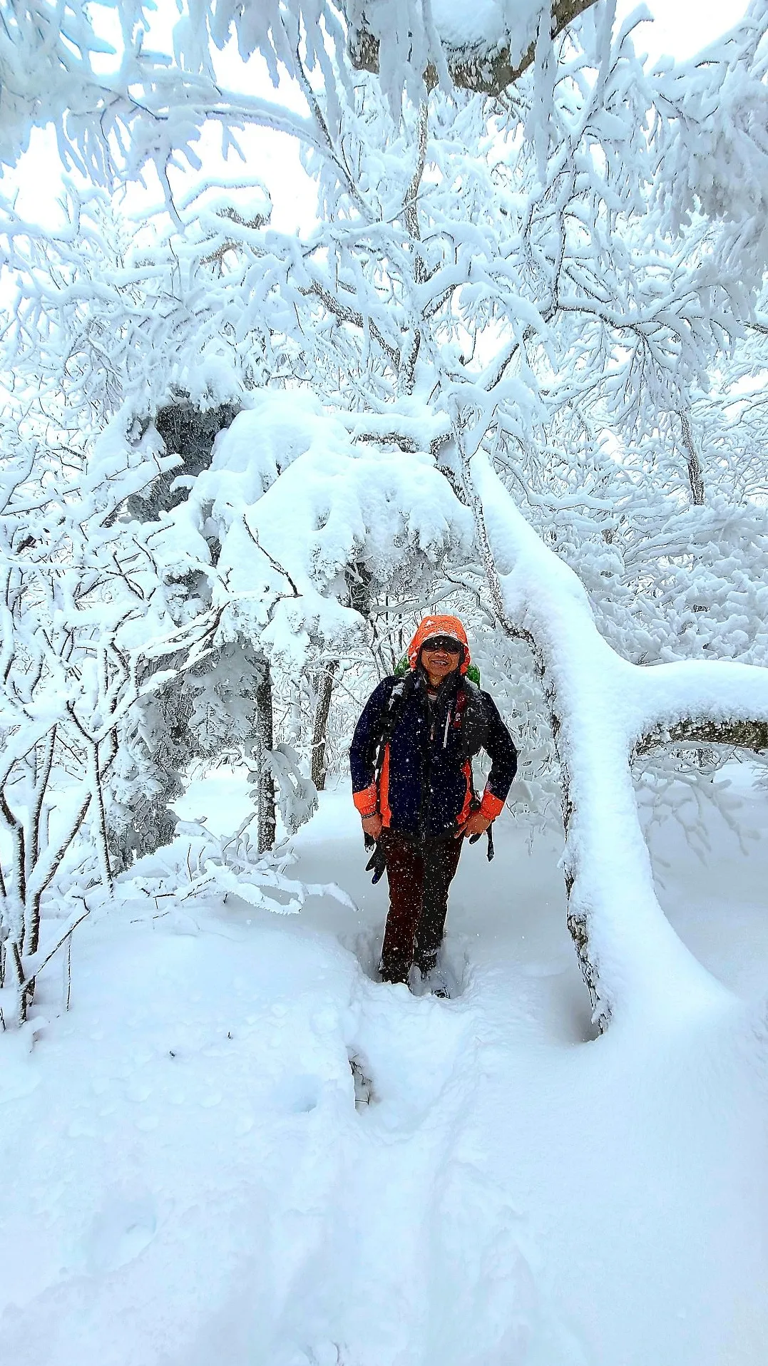 강원도 태백산 설경