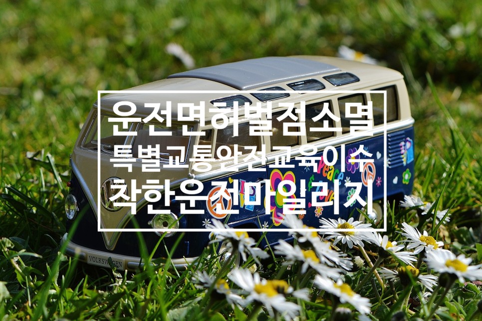 (경찰청 교통민원 24, 도로교통공단 안전운전 통합민원) [대지합동행정사무소]운전면허벌점 소멸방법 안내 6
