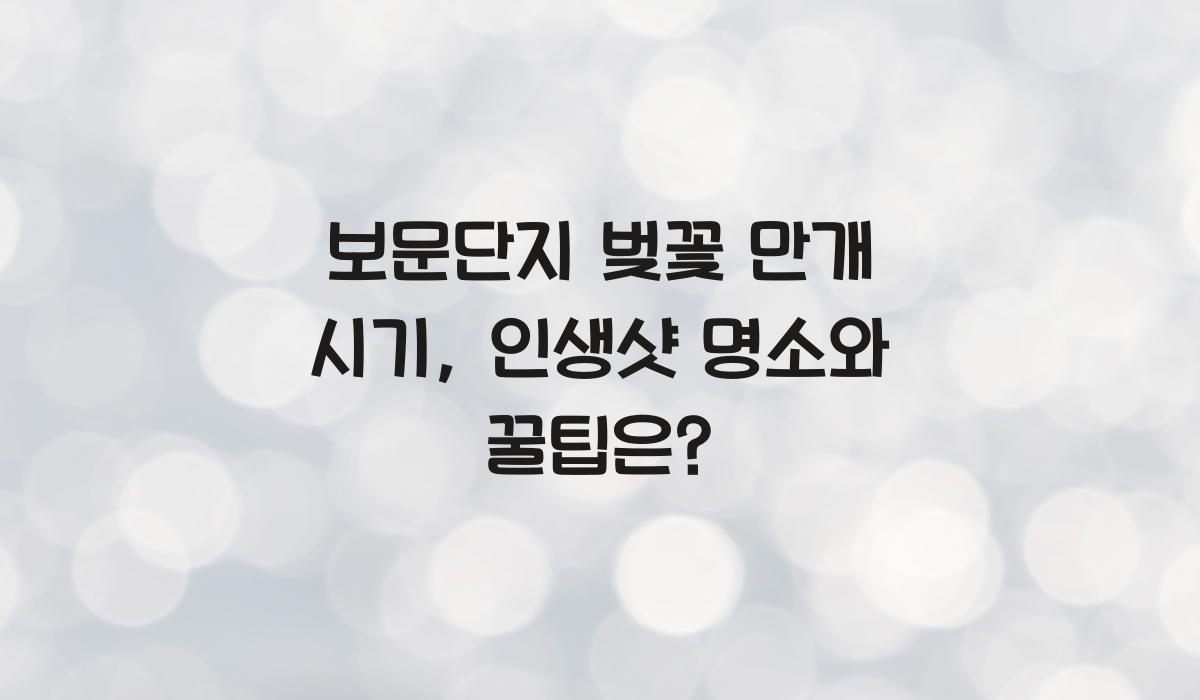 보문단지 벚꽃 만개 시기