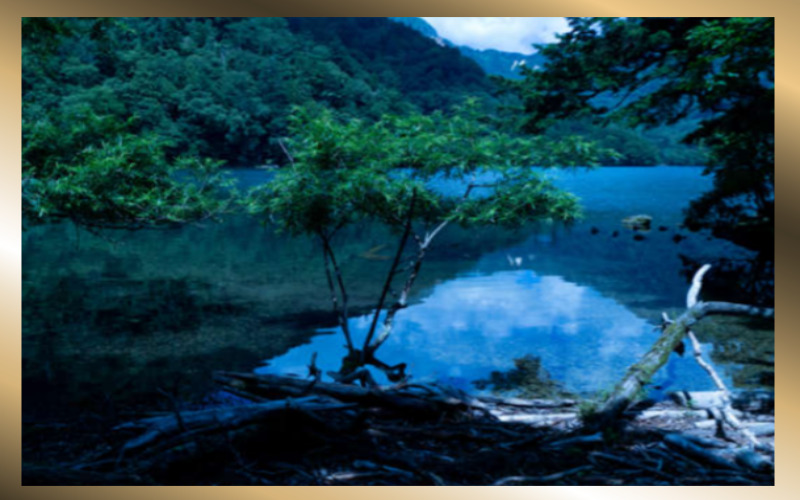 일본 호수와 숲이 그리는 풍경