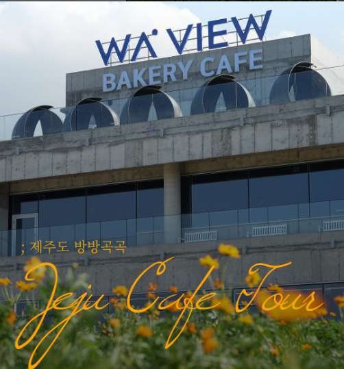 웨이뷰 코스모스 축제 이미지