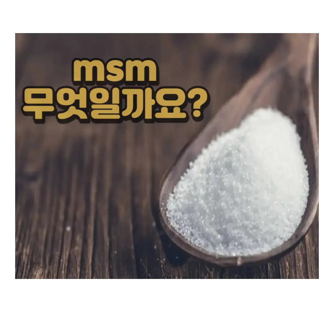 msm이란