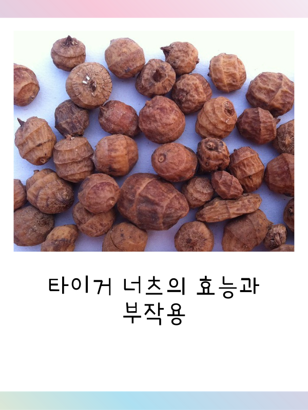  타이거넛츠 효능과 부작용