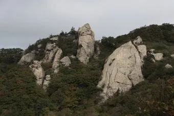 소백산 비로봉 연화봉 등산 완벽 산행코스 소요시간 주차팁과 철도 정보_16