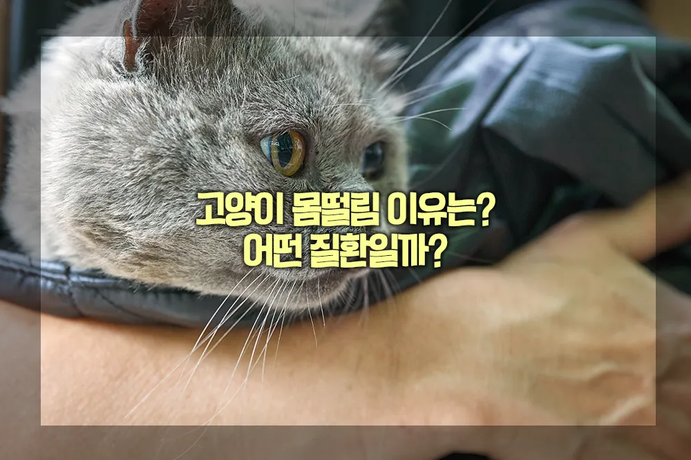 고양이 몸떨림 이유 질환