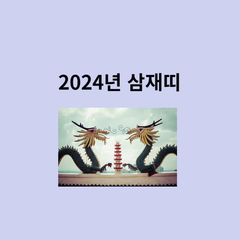 2024년 삼재띠