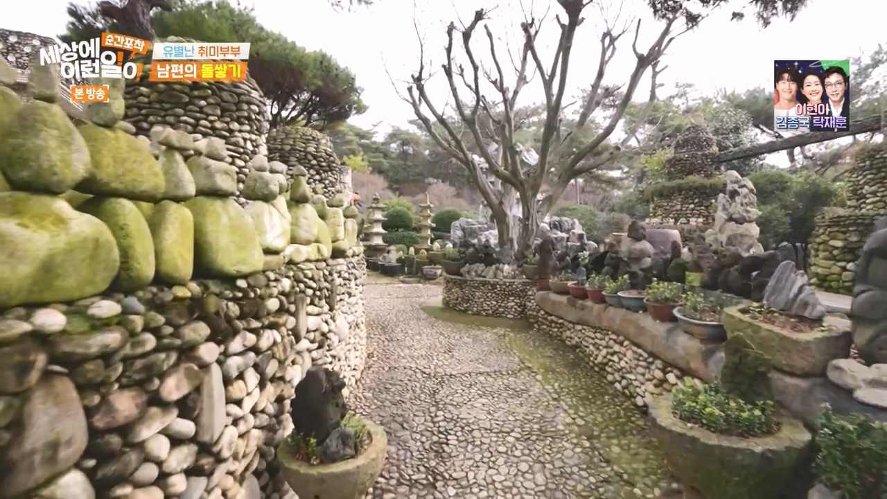 순간포착 세상에 이런일이.E1258.231231p-NEXT.mp4_20231231_163709.505.jpg