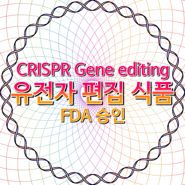 CRISPR-유전자-편집-식품-FDA-승인