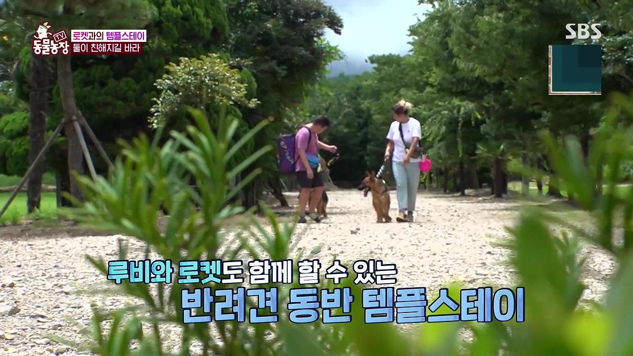 TV 동물농장 1189화 다시보기.ts_20240922_161528.642.jpg