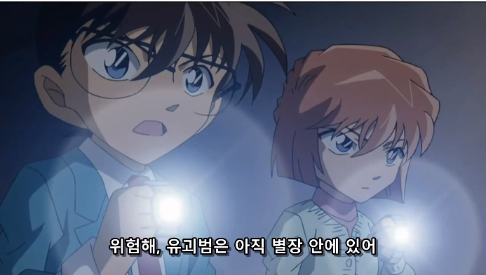  명탐정 코난 615화 일기가 연주하는 비밀 [후편]