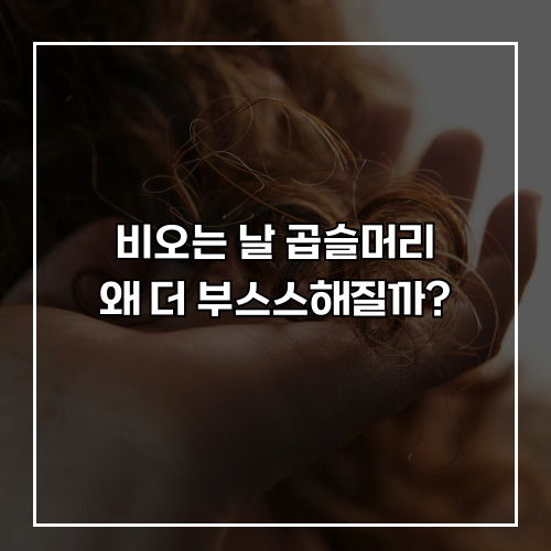 부스스 이미지