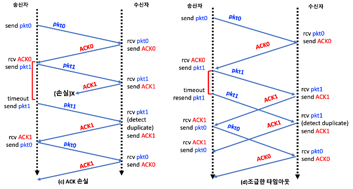 ACK 손실과 조급한 타임아웃