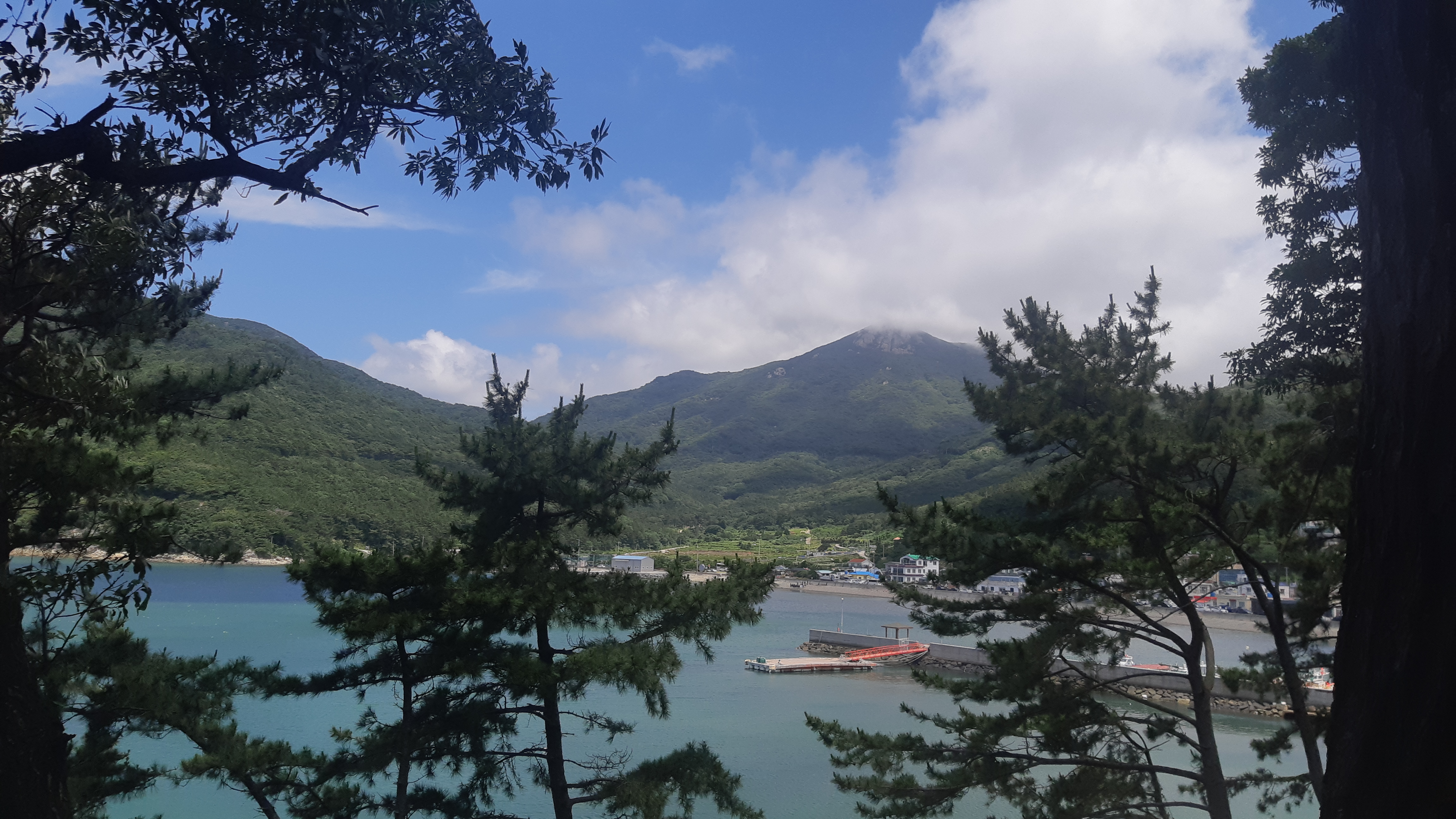  재산상속시 기여분의 사례