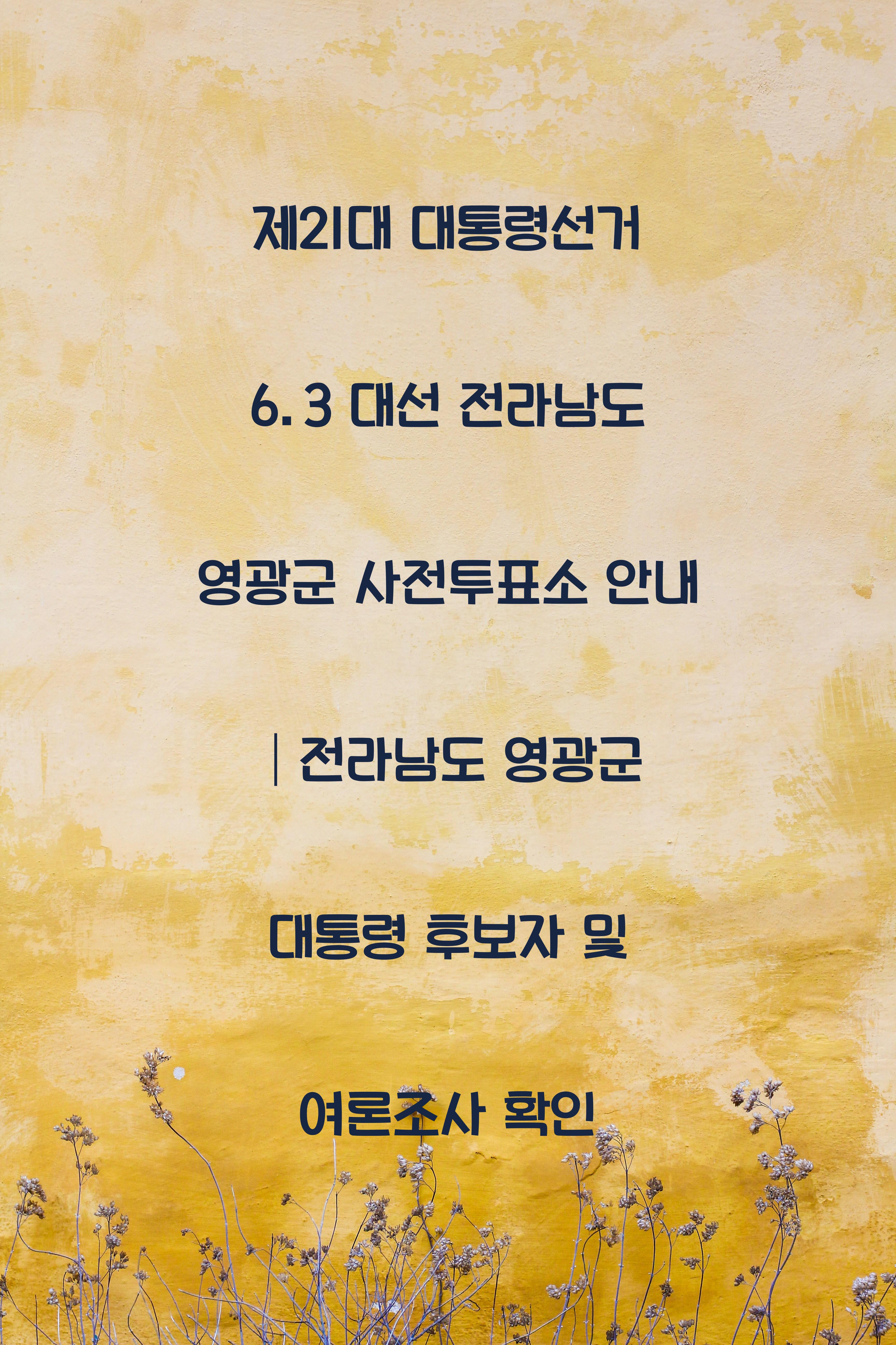 제21대 대통령선거 6.3 대선 전라남도 영광군 사전투표소 안내 │전라남도 영광군 대통령 후보자 및 여론조사 확인