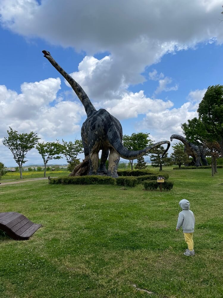 광주 근교 나들이] 4살 아들과 함께하는 해남 공룡 박물관