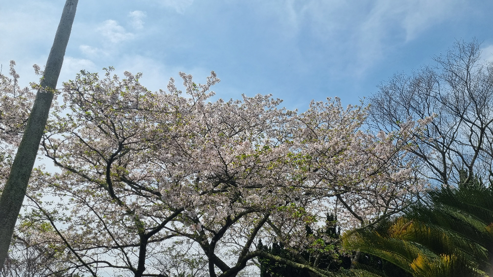 한림공원