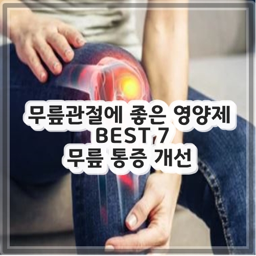 무릎관절에 좋은 영양제 BEST 7 무릎 통증 개선