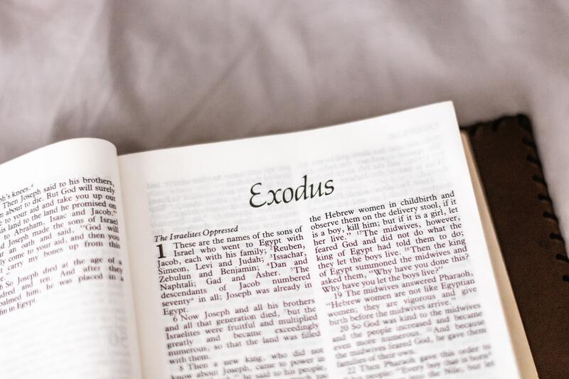  엑소더스(EXODUS)의 뜻과 출애굽기