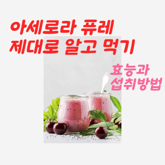  아세로라 퓨레 효능과 섭취방법 제대로 알고 먹어봐요!