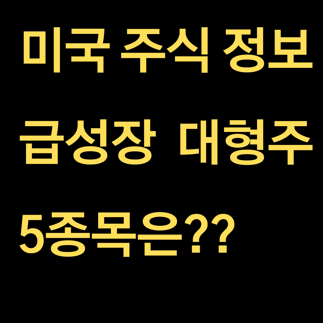  [미국주식정보] 급성장하고있는 대형주식 5종!?