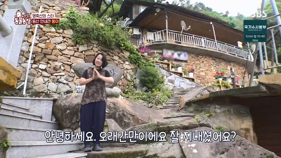 TV 동물농장.E1128.230709p.H264-F1RST.mp4_20230709_183513.762.jpg