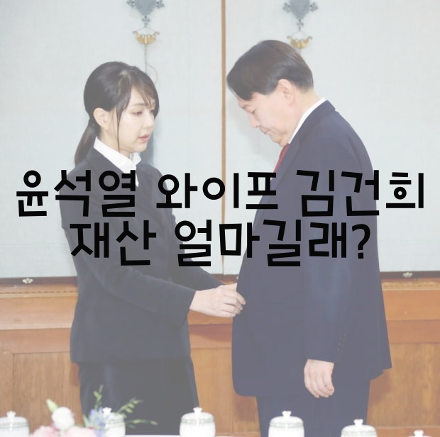  윤석열 와이프 김건희 재산 얼마길래?
