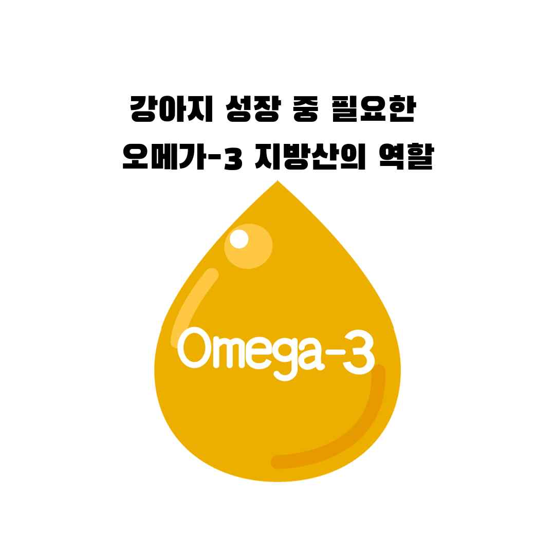 오메가3 불포화지방산