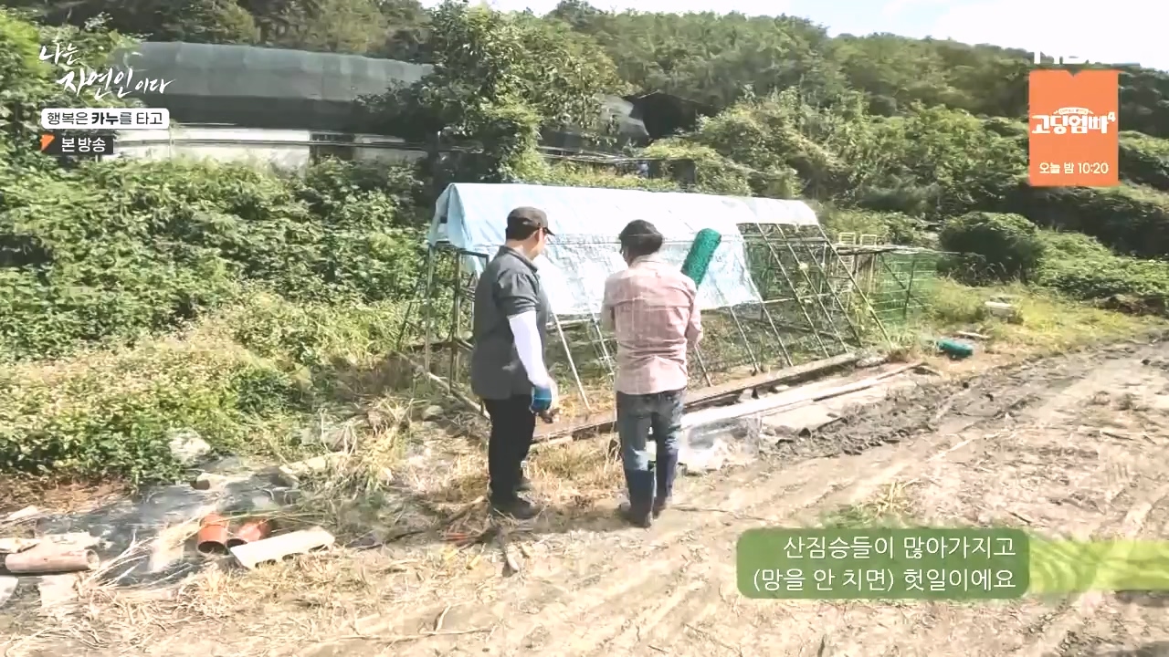 나는 자연인이다.E576.231019p-NEXT.mp4_20231019_201418.144.jpg