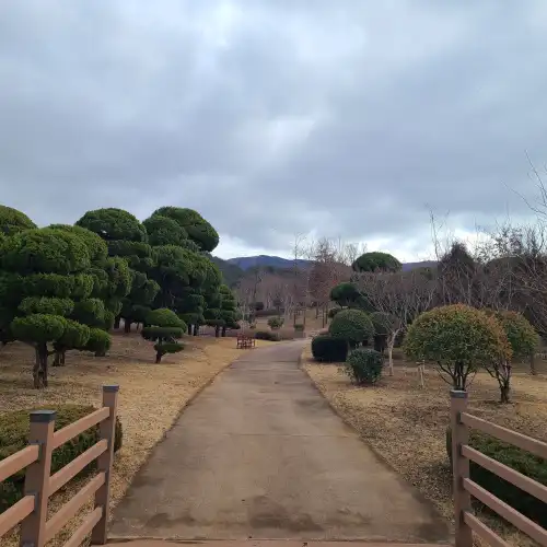 해운대수목원-평지