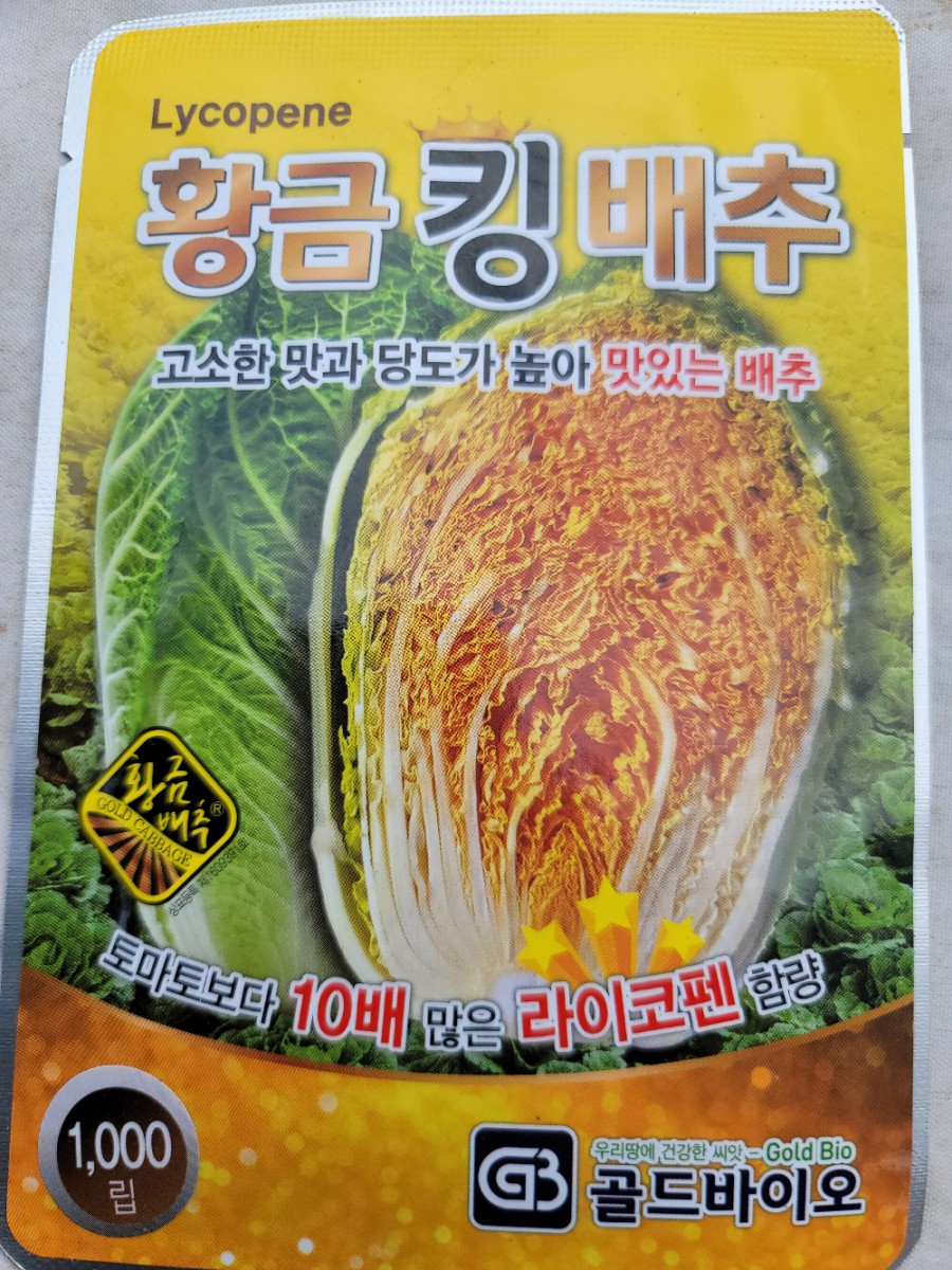 가을배추 가을 김장배추 심는시기는 언제가 19