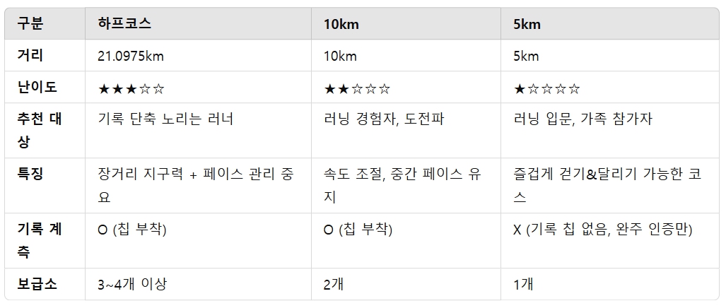 제16회 금융투자인 마라톤대회 일정 코스 정보 완주 전략 불스레이스