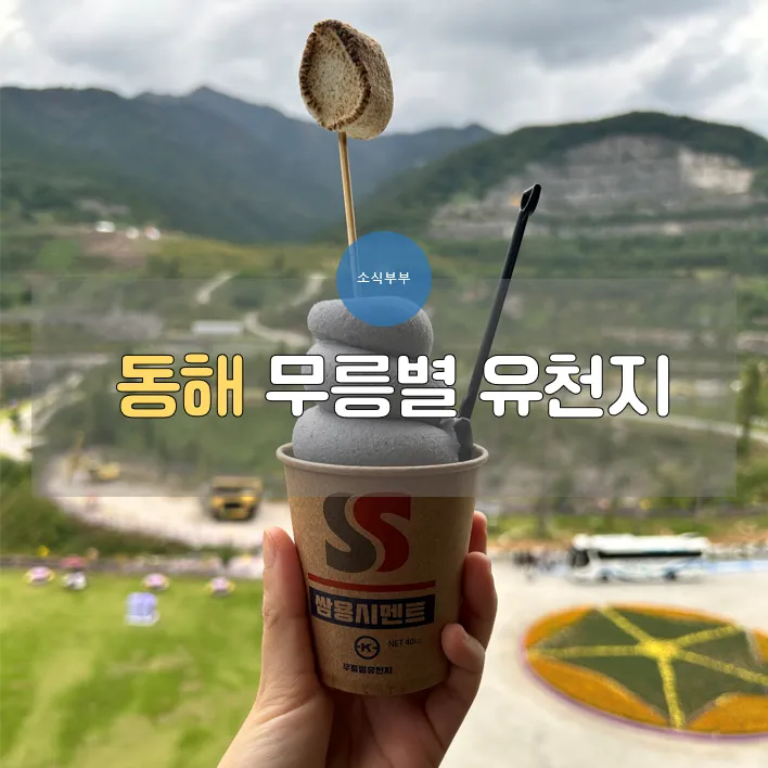 강원도 무릉별유천지 라벤더 축제 일정 입장료 총정리_7