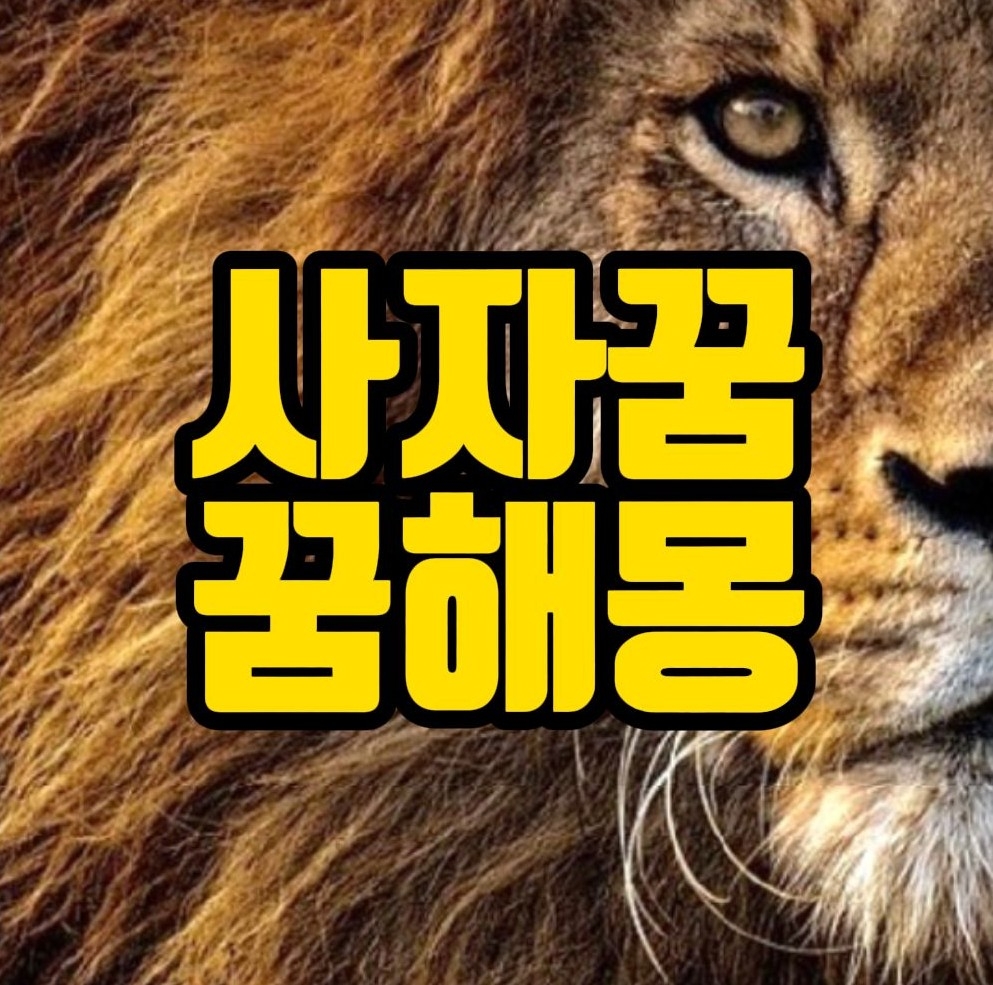  [꿈해몽] 사자꿈, 사자보는꿈, 사자타는꿈 등 꿈풀이 13선
