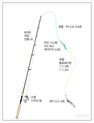 무늬오징어 낚시 채비, 시즌, 낚시철, 주요 포인트 무늬오징어 낚시 채비, 시즌, 낚시철, 주요 포인트