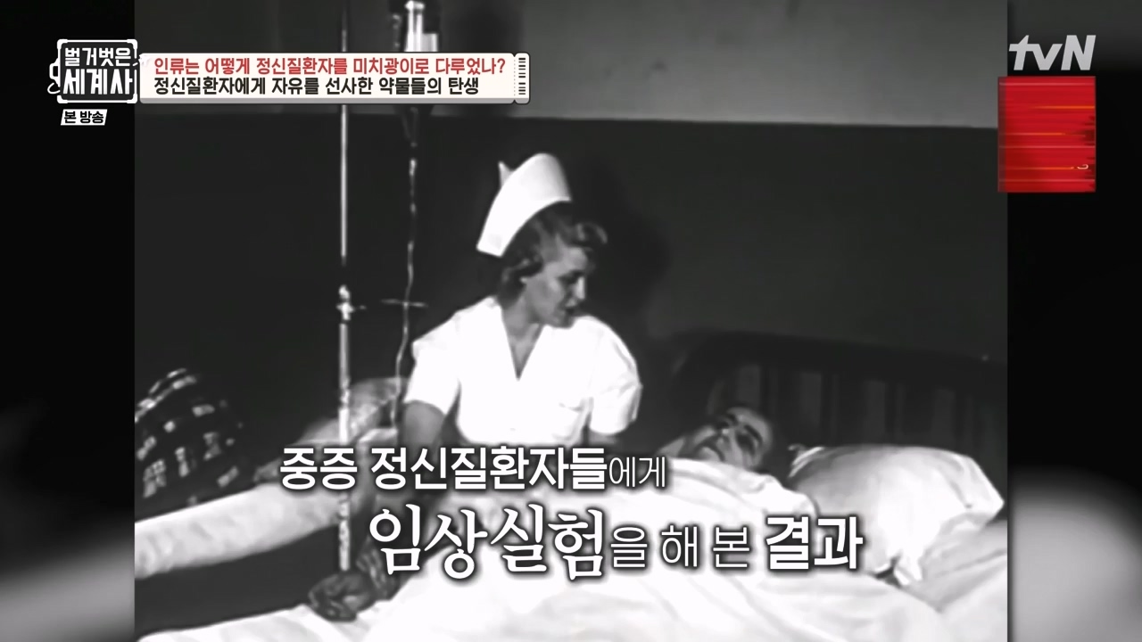 벌거벗은 세계사.E122.231025p-NEXT.mp4_20240525_170414.054.jpg