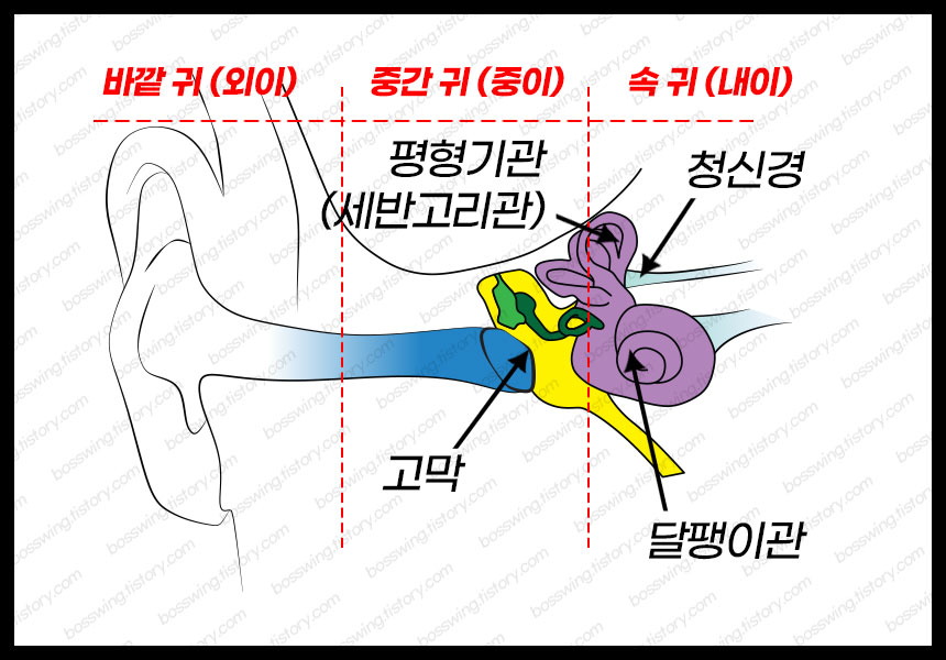 메니에르 병 증후군 증상, 완치 가능할까?