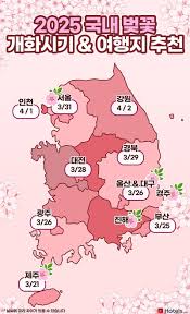 2025년 벚꽃 개화시기 명소 추천