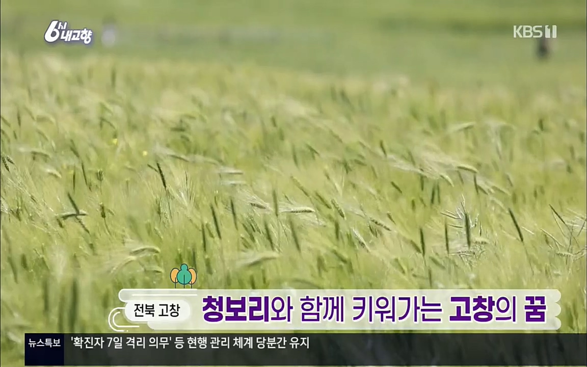 6시 내고향.E7530.220512p.H264-F1RST.mp4_20220516_183810.922.jpg